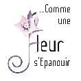 Compositions florales d'Oriane Monnin, 022 860 05 22